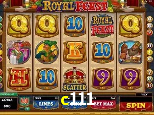 Security Systems c111